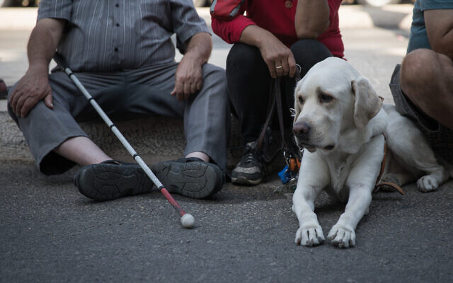 As virus wanes, Israel’s blind and deaf step out into a more hostile world